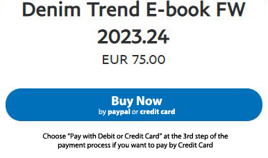 buy denim trend ebook v2